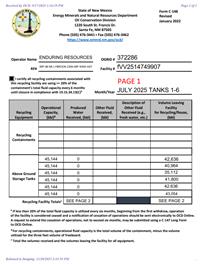 pVV2514750008_11_20_2025_02_41_57.pdf