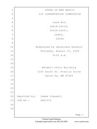 23615_09_11_2024_01_04_03.pdf