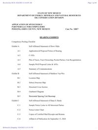 24817_09_26_2024_01_33_36.pdf