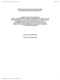 24721_10_03_2024_04_39_07.pdf