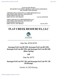 24733_10_04_2024_03_03_08.pdf