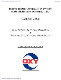 24875_10_24_2024_01_46_49.pdf