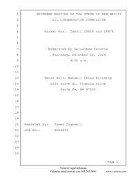 24816_12_31_2024_04_40_56.pdf