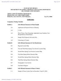 25096_12_31_2024_01_09_02.pdf