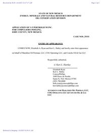 25151_03_06_2025_08_30_42.pdf