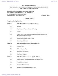 25376_05_29_2025_11_20_02.pdf