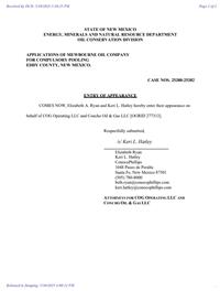 25381_05_30_2025_04_00_13.pdf