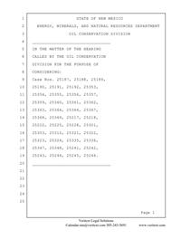 25187_06_13_2025_08_47_33.pdf