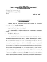 25894_02_20_2026_08_17_45.pdf