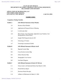 25991_03_20_2026_09_30_32.pdf