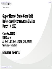 25610_04_10_2026_08_54_43.pdf
