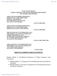 25832_04_20_2026_03_53_17.pdf