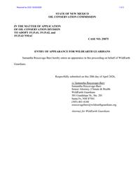 25875_04_20_2026_01_51_08.pdf