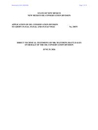 25875_06_30_2026_10_11_36.pdf