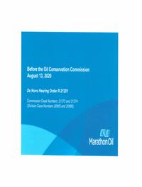 21273_08_10_2020_11_37_13.PDF