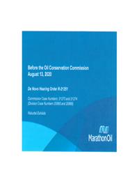 21274_08_12_2020_02_20_00.PDF